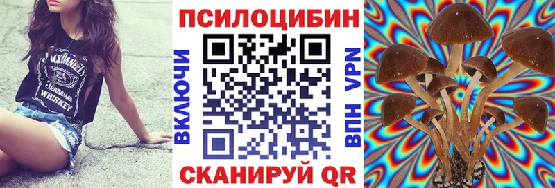 Купить  Гаврилов-Ям  Псилоцибиновые грибы ЛСД 
